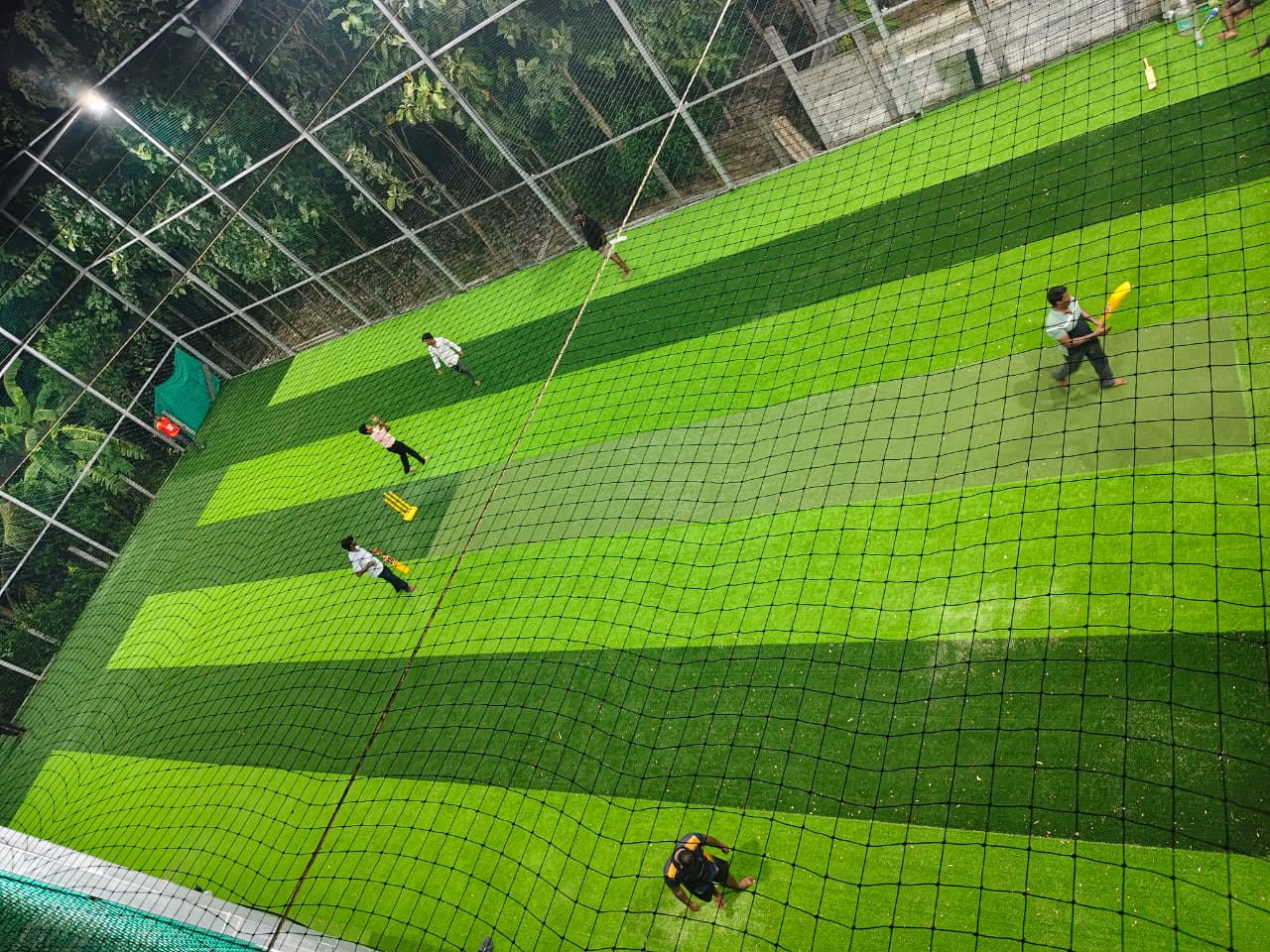Cricket Pitch
